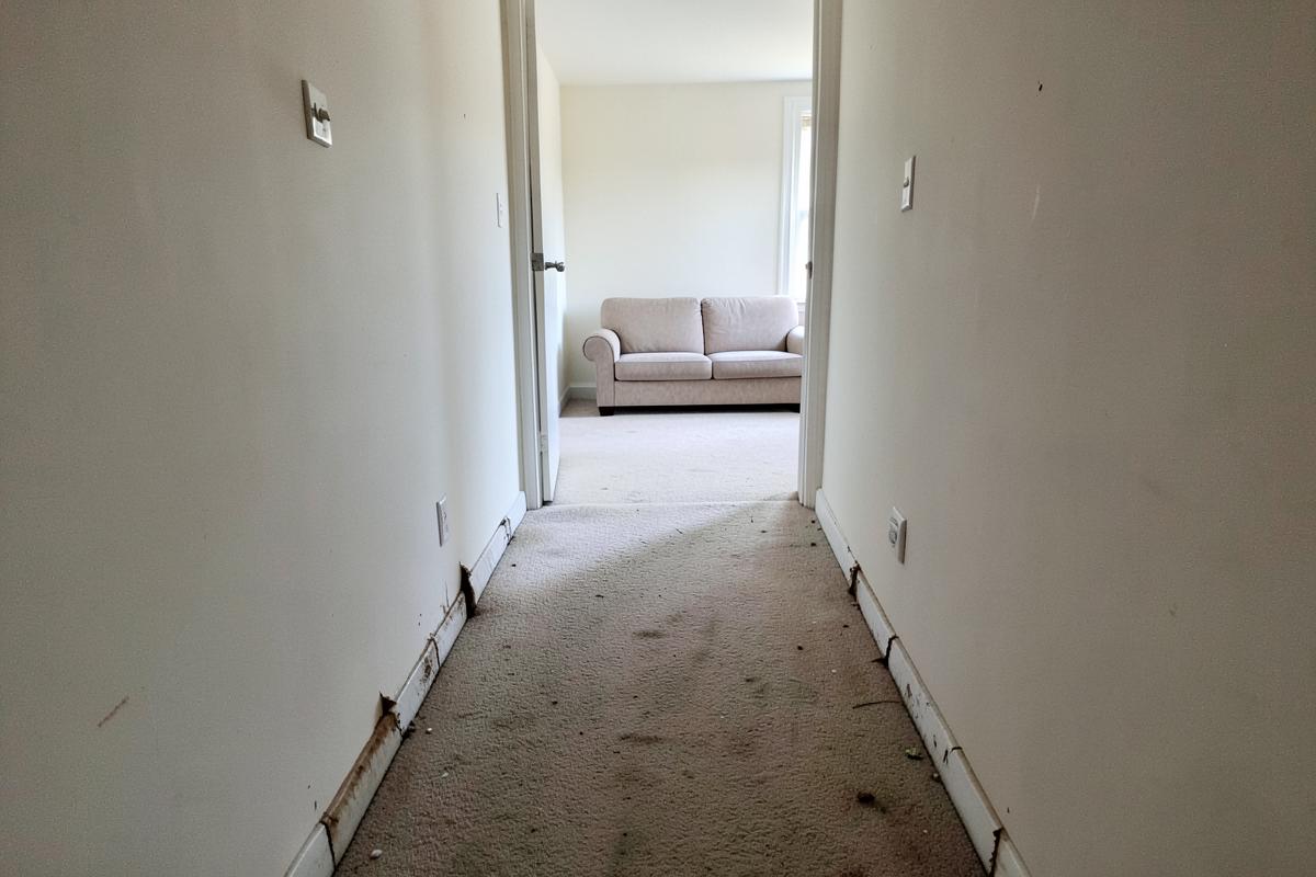 Hallway Recarpet — before