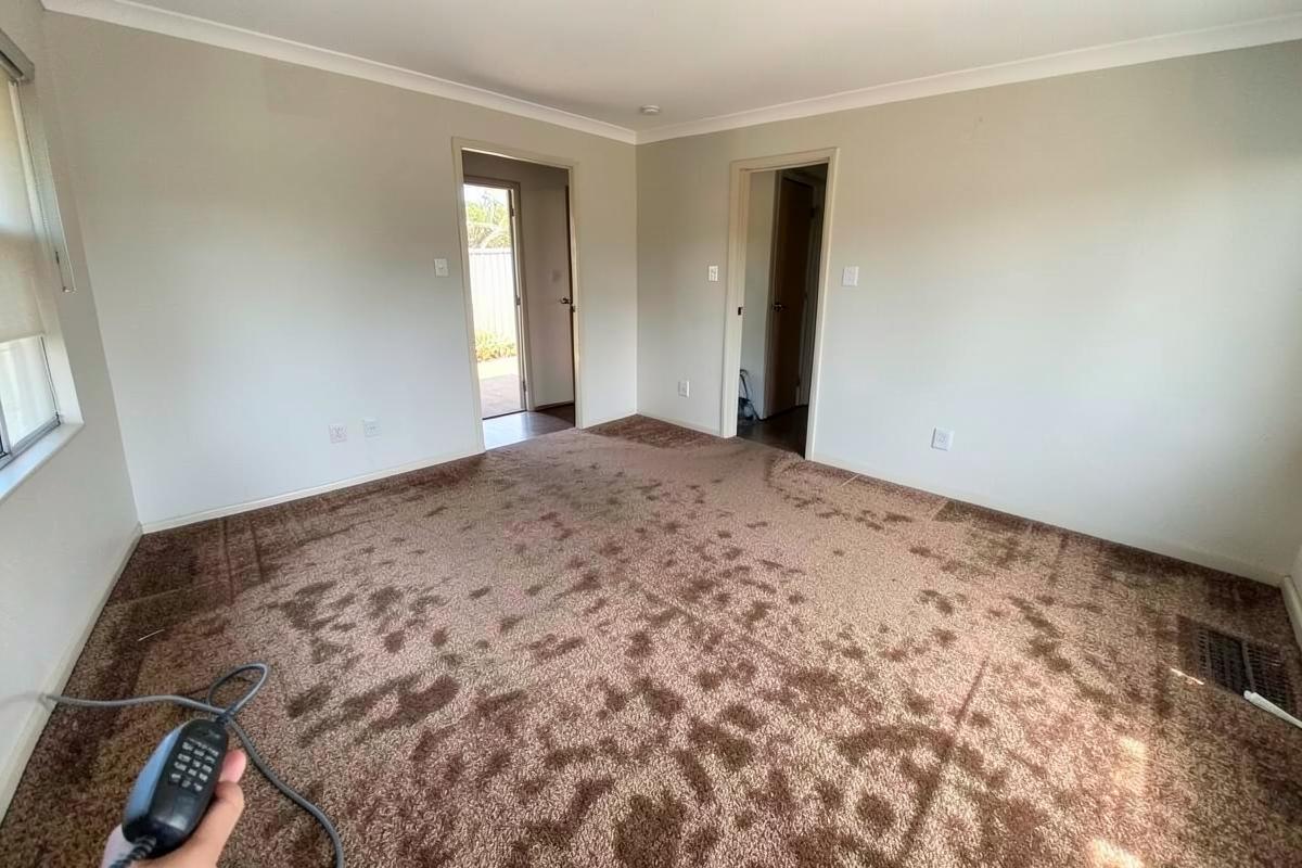 Carpet & Underlay Removal — before